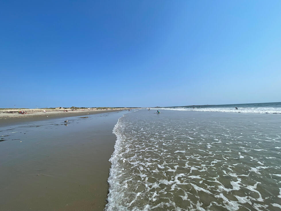 Horseneck Beach