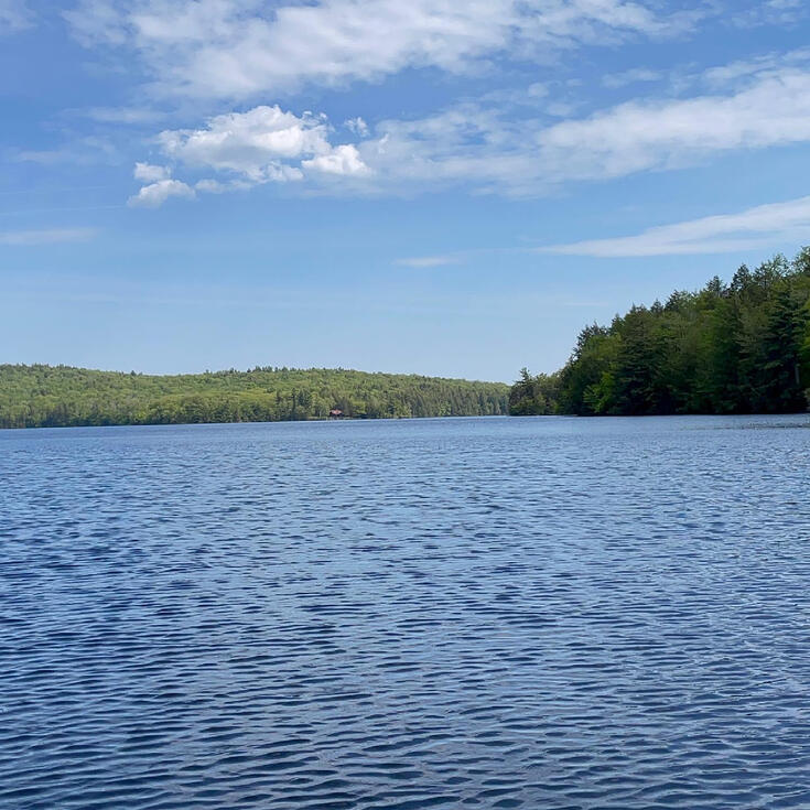 Tolland State Forest